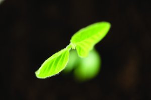 AI时代对比AI金融投资工具的表现